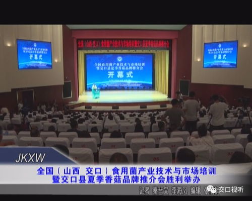 技术赋能，品牌引领 交口县夏季香菇产业升级新篇章